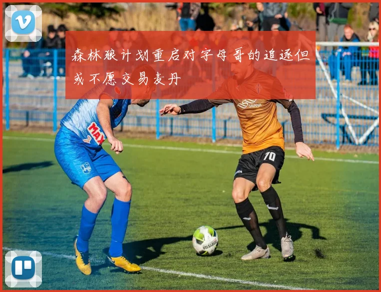 森林狼计划重启对字母哥的追逐但或不愿交易麦丹
